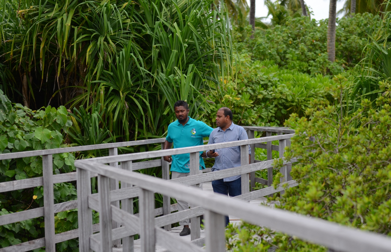 ސީނިއާ ޕާކް ވޯޑް އަބްދުލް ހާދީ، ނޭޗާ ޕާކާ ގުޅޭ މައުލޫމާތު "މިހާރު" އަށް ކިޔައިދެނީ.---ފޮޓޯ: އަހުމަދު މަހްޒޫމް