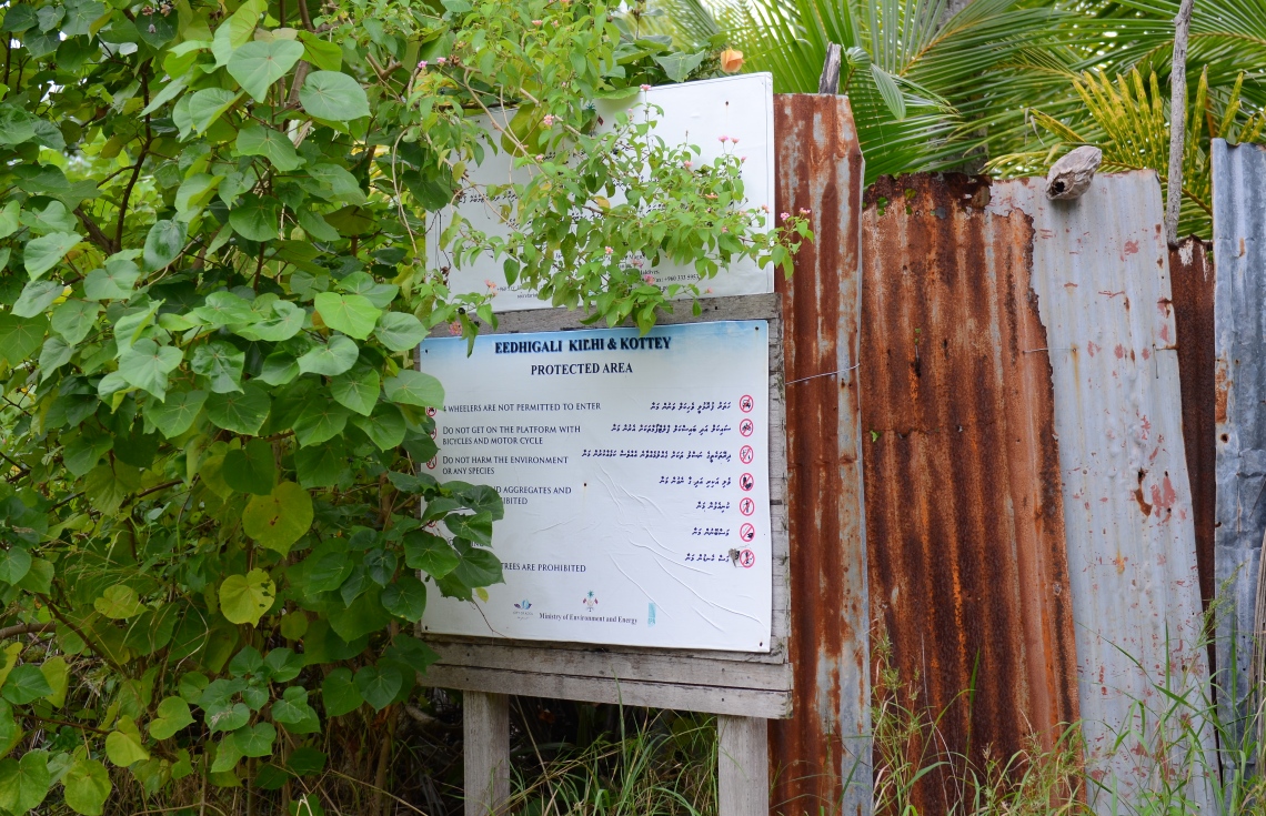 ސ. ހިތަދޫ: ޖުލައި 17، 2019- އައްޑޫ ނޭޗާ ޕާކްގައި ދަނޑު ހައްދާ ސަރަހައްދު ވަކިކުރަން ޖަހާފައިވާ ޓިނު ފެންސެއް.---ފޮޓޯ: އަހުމަދު މަހްޒޫމް