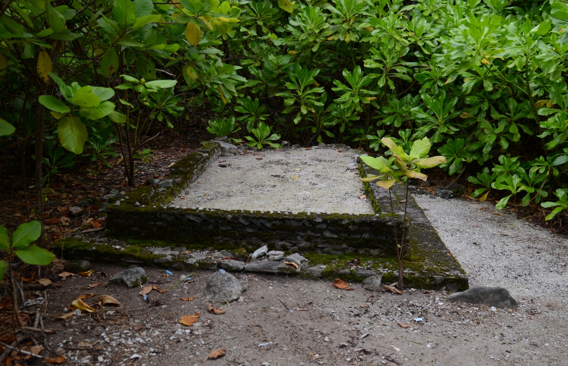 ސ. ހިތަދޫ: ޖުލައި 17، 2019- އައްޑޫ ނޭޗާ ޕާކްގެ ތެރޭގައި ހުރި މަހާނައެއް: މި ޕާކްގައި މިފަދަ މަހާނަތައް އެކި ސަރަހައްދުތަކުން ފެނޭ.---ފޮޓޯ: އަހުމަދު މަހްޒޫމް