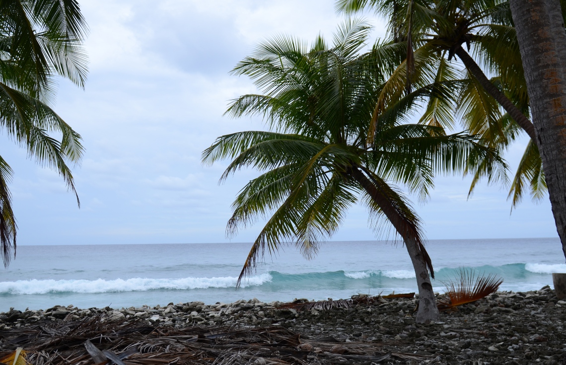 ސ. ހިތަދޫ: ޖުލައި 17، 2019- އައްޑޫ ނޭޗާ ޕާކްގެ ހިތްގައިމު މަންޒަރެއް.---ފޮޓޯ: އަހުމަދު މަހްޒޫމް