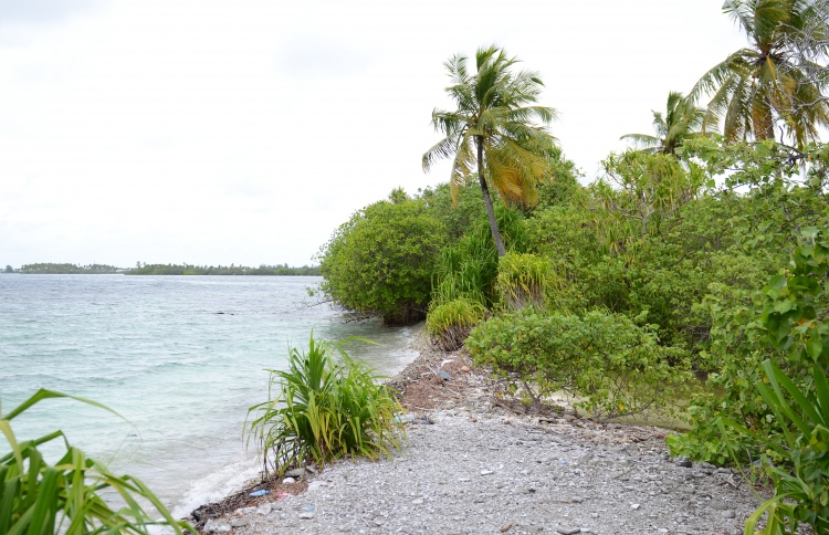 އައްޑޫގައި ގެސްޓް ހައުސް އަޅަން ބިން ދޫކުރަނީ