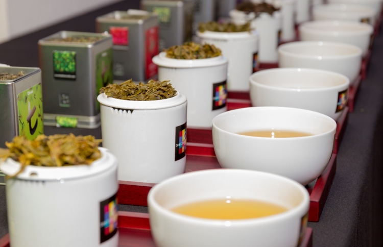 ދިލްމާ ސައިފަތުގެ މުޅިން އާ ރަހަތަކެއް!