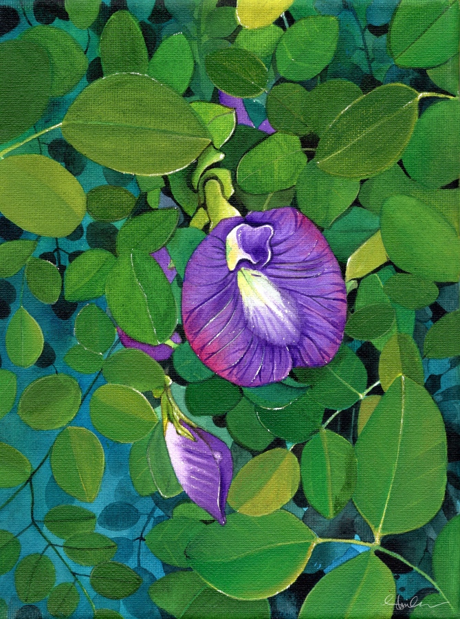 ނަން ރީތިމާ ނުވަތަ ފިޔަ ނޫ މަލޭ ވެސް ކިޔާ: މިއީ ވެސް އެކްރެލިކުން ޝިމްހާ ކުރަހާފައިވާ މަލެއެއް. އޭނާގެ މި ސީރީޒްގައި ޖުމްލަ 30 ވައްތަރެއްގެ ލޯކަލް މާތައް ހިމަނާފައިވިޔަސް މި ގެލެރީގައި އެ ހުރިހާ މާތަކެއް ހިމަނާނެ ޖާގައެއް އަހަރެމެންނަކަށް ހަގީގަތުގައި ނުލިބުނެވެ.