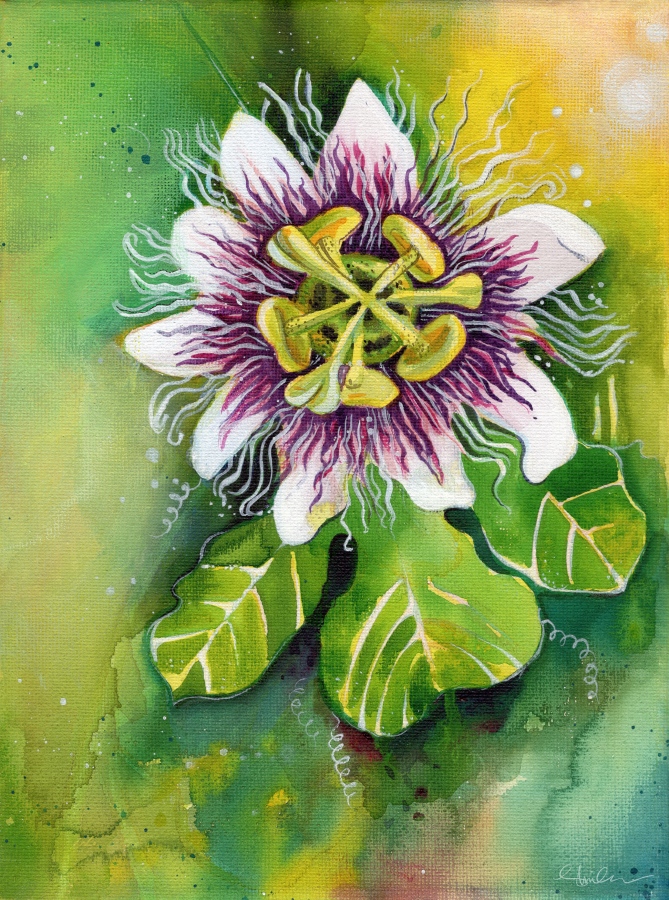 ޖުމްހޫރީމޭވާގެ މަލެއް އޭގެ ފުރިހަމަ ކަރުގަނޑާއެކު: މިއީ ވެސް އެކްރެލިކް ކުރެހުމެކެވެ. ޝިމްހާ ބުނަނީ އޭނާގެ މި ހުނަރު އިތުރަށް ތަރައްގީކޮށް ފުޅާކުރުމުގެ ވިސްނުން ގެންގުޅުނު ނަމަވެސް ގޮންޖެހުންތަކެއް އެކަމަށް އެބަހުރި ކަމަށެވެ. ނަމަވެސް މުސްތަގުބަލުގައި އަމިއްލަ ސްކޫލެއް ހުޅުވައިގެން ކުދިންނަށް މިހާރަށް ވުރެ ފުޅާ ދާއިރާއެއްގައި މި ހުނަރު ދަސްކޮށްދިނުމަކީ އޭނާގެ ހުވަފެނެކެވެ.