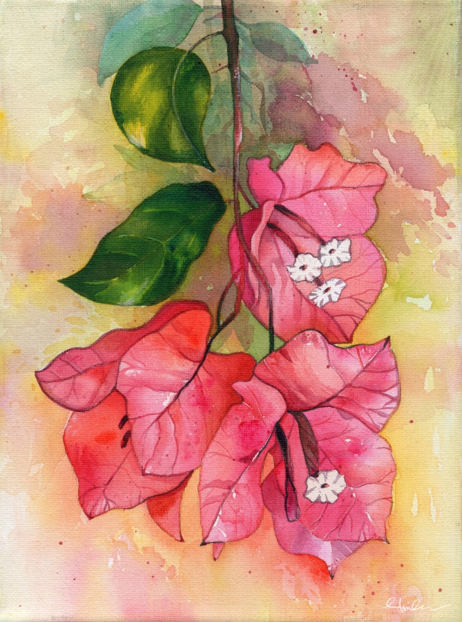 ޝިމްހާގެ ވޯޓާކަލާ އިން ބޯގަންވިލާ: އޭނާ ބުނަނީ ވޯޓާކަލާއިން ކުރެހުމެއް މިގޮތަށް ކުރަހަން މާ ގިނަ ވަގުތުތަކެއް ނުނަގާނެ ކަމަށެވެ. ސަބަބަކީ އެއީ ބޭނުންކުރަން ފަސޭހަވެފައި އަވަހަށް ހިކޭ މީޑިއަމް އަކަށް ވުމެވެ. ނަމަވެސް އެކްރެލިކުން ކުރަހާ ނަމަ އެ ކުރެހުމެއް ފުރިހަމަކުރުމަށް ވަރަށް ގިނަ ވަގުތު ނަގާ ކަމަށް ޝިމްހާ ބުންޏެވެ.