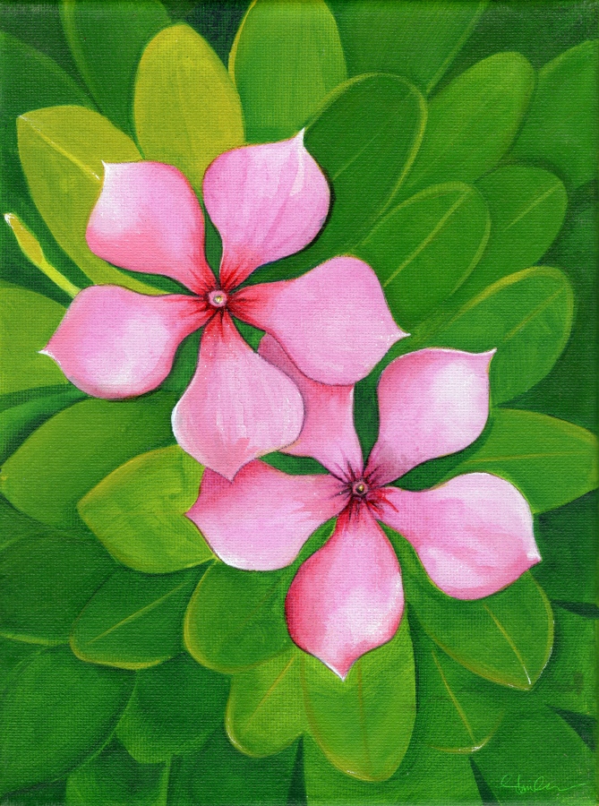 މަޝްހޫރު މަލިކުރުވާ މާ: ޝިމްހާގެ އާޓް ކަލެކްޝަންތަކުގައި ދިވެހިވަންތަކަމާއި ކުލަ އާއި ރަހަ އާއި ވަސް ވަރަށް ވެސް ގަދައެވެ. އޭނާގެ ސްޓައިލް އަކީ ކޮބައިތޯ ސުވާލުކުރުމުން އޭނާ ބުނަނީ ވަރަށް ނޭޗާ ބޭސްޑް އާޓިސްޓެކޭ ބުނުން އެންމެ ރަނގަޅުވާނެ ކަމަށެވެ.