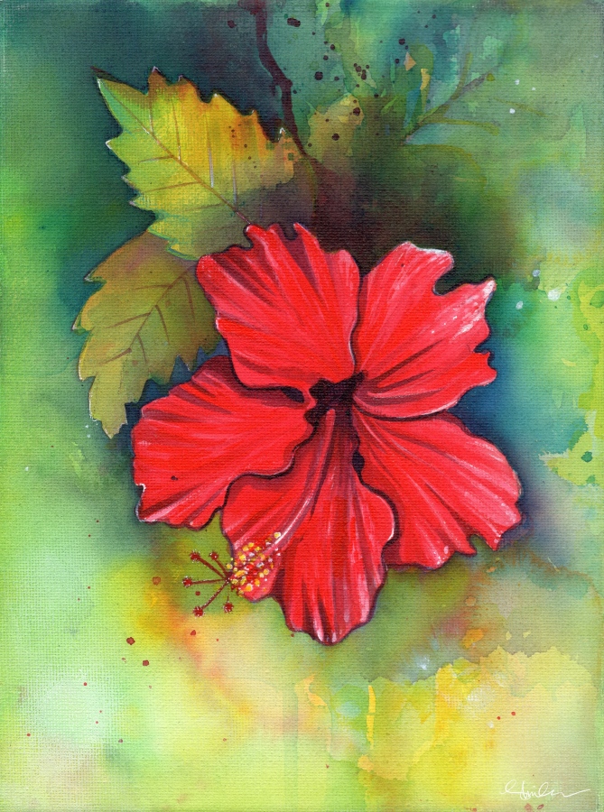 އަނެއްކާވެސް މި އޮތީ ސައިމަލެކެވެ. މިއީ ވެސް އެކްރެލިކުން އޭނާ ކުރަހާފައިވާ މަލެކެވެ. ސައި މަލަކީ ރާއްޖޭގައި އެންމެ ގިނައިން ހެދޭ އެންމެ އާންމު އެއް ވައްތަރުގެ ބަގީޗާ މަލެވެ. މީގެ އެތައް ވައްތަރަކާއި އެތައް ކުލަތަކެއް ރާއްޖޭގެ އެކި ރަށްތަކުން މިހާރު ވެސް ފެނެއެވެ.