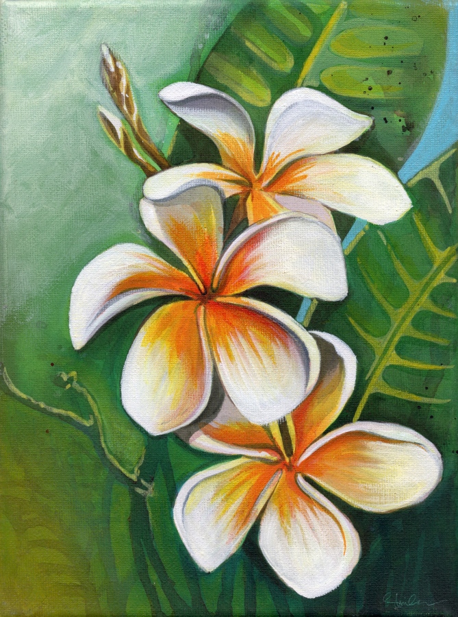 ހުދު ކުލައިގެ ގުލްޗަމްޕާ މާ: މަލުގެ ކުލަތަކުން ހުދު ކުލައަށް ކިތަންމެ ފޫހިވިޔަސް ޝިމްހާ ބުނަނީ މިއީ އޭނާގެ ފެވަރިޓެއް ކަމަށެވެ. މިއީ ވެސް އެކްރެލިކް މީޑިއަމްގައި ފައްކާކޮށްފައިވާ ކުރެހުމެކެވެ. ޝިމްހާ ބުނީ އޭނާގެ މި މަލުގެ ސިލްސިލާ ކުރެހުންތައް ފެށީ ރާއްޖެއިން ފެންނަ ރީތި، އެންމެ ހިތްގައިމު ކުލަތަކުން ފަރިވެފައިވާ މާތައް އޭނާގެ ކެންވަސް އަށް ގެނައުމުގެ ބޭނުމުގައި ކަމަށެވެ.