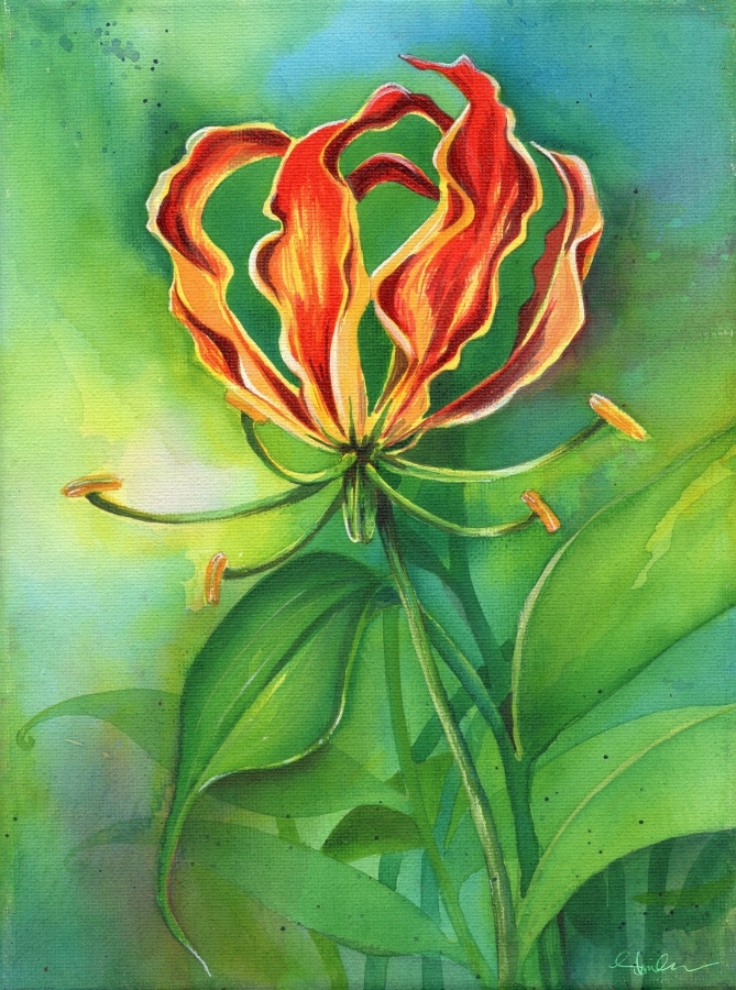 މި އޮތީ އެކްރެލިކުން އޭނާ ކުރަހައި ނަލަކޮށްފައިވާ ވިހަލަގޮނޑި މަލެކެވެ. ޝިމްހާގެ މި ކުރެހުންތައް ގަތުމަށް ޝައުގުވެރިވާ ނަމަ އޭނާގެ ސޯޝަލް މީޑިއާ ޕްލެޓްފޯމްތަކުން ސީދާ އޭނާއާ ވާހަކަ ދައްކަންވީއެވެ.