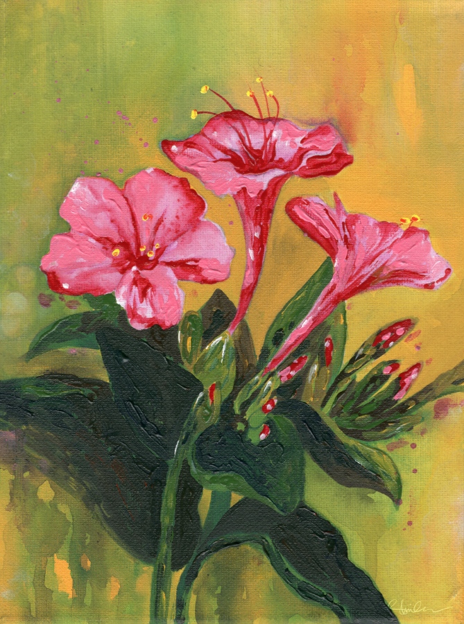 އަސުރުމާ ނުވަތަ މަޝްހޫރު ފޯ އޮކްލޮކް ފްލާވާ: ޝިމްހާ ބުނަނީ ރާއްޖޭގައި ކުރިން އާޓިސްޓުންނަށް ނެތް ގިނަ ފުރުސަތުތަކެއް ހުޅުވެމުން އަންނައިރު އާމްދަނީ ހޯދަން މިއީ ވެސް ވަރަށް ރަނގަޅު ދާއިރާއެއް ކަމަށެވެ. އެގޮތުން ބަލާއިރު ރަނގަޅު އަގުތަކެއްގައި ކުރެހުންތައް ވިއްކާލެވޭއިރު އޮންލައިންކޮށް ކުރެހުންތައް ބޭރުގެ މާކެޓަށް ނެރެގެން ލިބޭ ފައިދާ ވެސް ރަނގަޅު ކަމަށް ބުންޏެވެ.