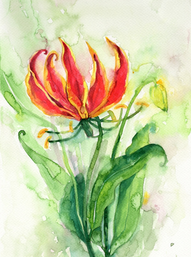 ވޯޓާކަލާއިން ވިހަލަގޮނޑި މަލެއް: ޝިމްހާ ބުނަނީ އޭނާ އަށް މަލެއް އެންމެ ކަމުދަނީ އޭގެ ކުލަތައް ވީހާ ވެސް ގަދަވެފައި އެކި ވައްތަރުގެ ކުލަތައް އެއަށް ލިބިފައިވާ ނަމައެވެ. އެގޮތުން ބަލާއިރު ވިހަލަގޮނޑި މަލަކީ އޭނާގެ ކަލެކްޝަނުން ވަރަށް އާންމުކޮށް ފެންނަ މަލެއްކަން ފާހަގަކޮށްލެވެއެވެ.