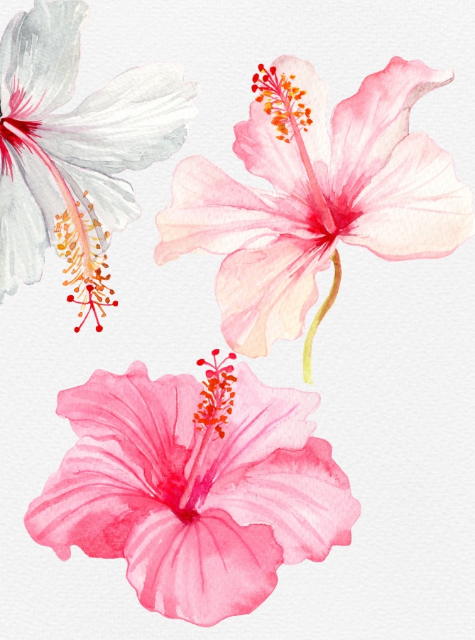 ވޯޓާކަލާ އިން ކުރަހާފައިވާ ސައިމާ: ޝިމްހާ ބުނަނީ މިއީ އެންމެ ފަސޭހައިން، އެންމެ އާންމުކޮށް ކުރަހާލެވޭ އެއް މާ ކަމަށް. ނަމަވެސް މިގޮތަށް މާތައް ކުރެހުމުގެ ސިލްސިލާއެއް ފެށުނީ އެއްގޮތަކަށް ވެސް މާމެލާމެލީގެ މާ ބޮޑު ޝައުގުވެރިކަމެއް ހިތުގައި އޮވެގެން ނޫން ކަމަށް ވެސް އޭނާ ބުނޭ.