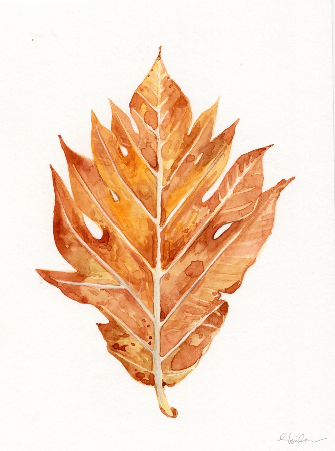 ބަނބުކެޔޮ ގަހަކުން ވެއްޓުނު ފަތެއް: ޝިމްހާގެ ވޯޓާކަލާ ކުރެހުންތަކުން އާދަޔާހިލާފު ހުނަރުވެރިކަމަކާއި ޑީޓެއިލް ފާޅުވާއިރު އޭނާގެ މި ހުނަރުވެރިކަން އެހެން މީހުންނާ ހަމަ އަށް ގެންގޮސް ދިނުމަށް ކުރަމުން އަންނަ މަސައްކަތް ވެސް ވަރަށް ފާހަގަކޮށްލެވެއެވެ. ޝިމްހާ އަކީ ފުލް ޓައިމް އާޓް މުދައްރިސެކެވެ. ކުޑަކުދިންގެ މެދުގައި އާޓަށް ލޯބި ޖައްސުވައި އެ ކުދިިންގެ ހުނަރު ތަރައްގީކުރުމަށް އޭނާ ކުރަމުން އަންނަ މަސައްކަތްތައް ވަރަށް ބޮޑަށް ފާހަގަކޮށްލެވެއެވެ.