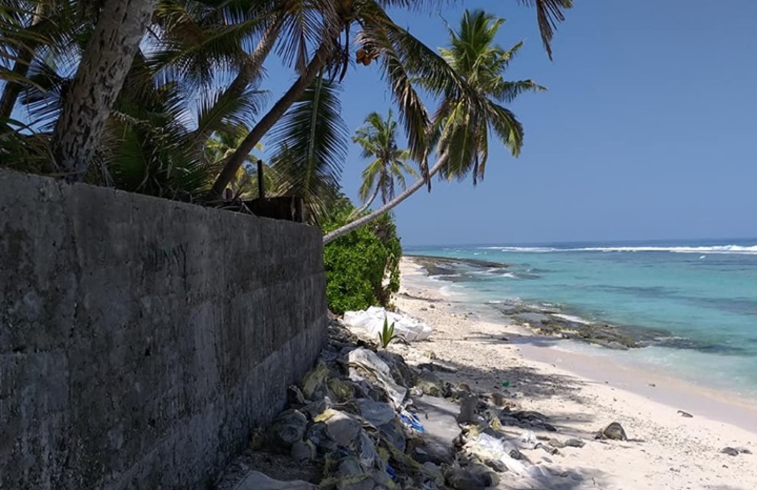 މޫލެކެޑެ ސަރަހައްދުން ގިރާފައިވާ ދިމާލެއް.