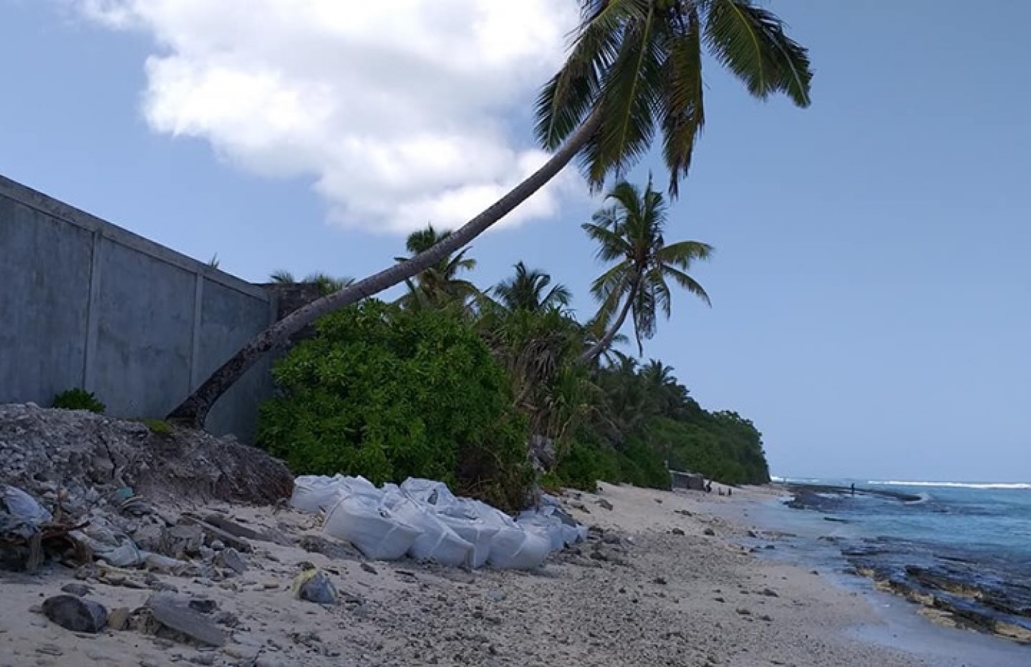 މޫލެކެޑެ ސަރަހައްދު ގިރާތީ ބައެއް ހިސާބުތަކުގައި ޖަމްބޯ ބޭގް ޖަހާފައި