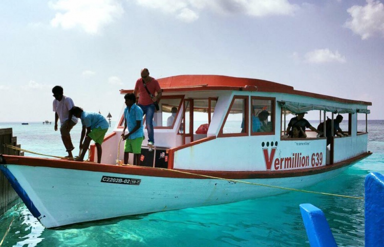 ވާމިލިއަންނާ ދޭތެރޭ ފިޔަވަޅެއް ނާޅާ