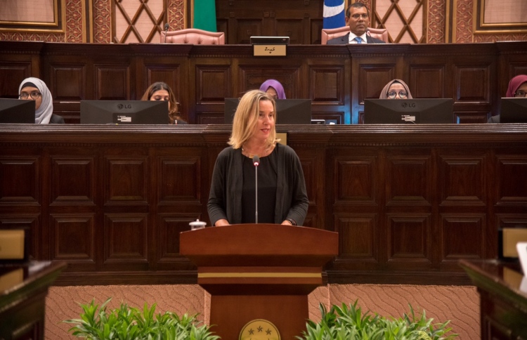 ޓެރަރިޒަމާ ދެކޮޅަށް އީޔޫއިން 43 މިލިއަން ރުފިޔާ ދެނީ