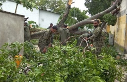 Military personnel clearing up trees that were uprooted in strong winds due to bad weather conditions. PHOTO: MNDF