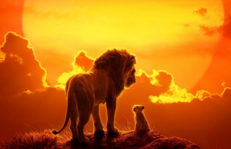 ޑިޒްނީ: ކުޑައިރުން ފެށިގެން ދިވެހިންނާ ގުޅިފައި!