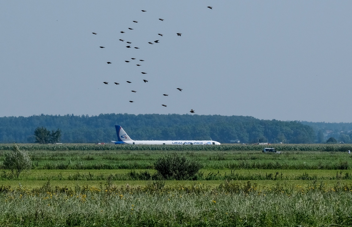 ރަޝިޔާގެ ޔުރަލް އެއާލައިންސްގެ އޭ321 ގެ ބޯޓު ޒުވާރި ދަނޑަށް ޖައްސާފައި: އިންޖީނުގައި ދޫނިތަކެއް ޖެހުމުން އިމަޖެންސީގައި ބޯޓު ޖެއްސި ހާދިސާގައި އެއްވެސް މީހަކަށް ސީރިއަސް ގެއްލުމެއް ލިބިފައެއް ނުވޭ. --ފޮޓޯ:އޭއެފްޕީ