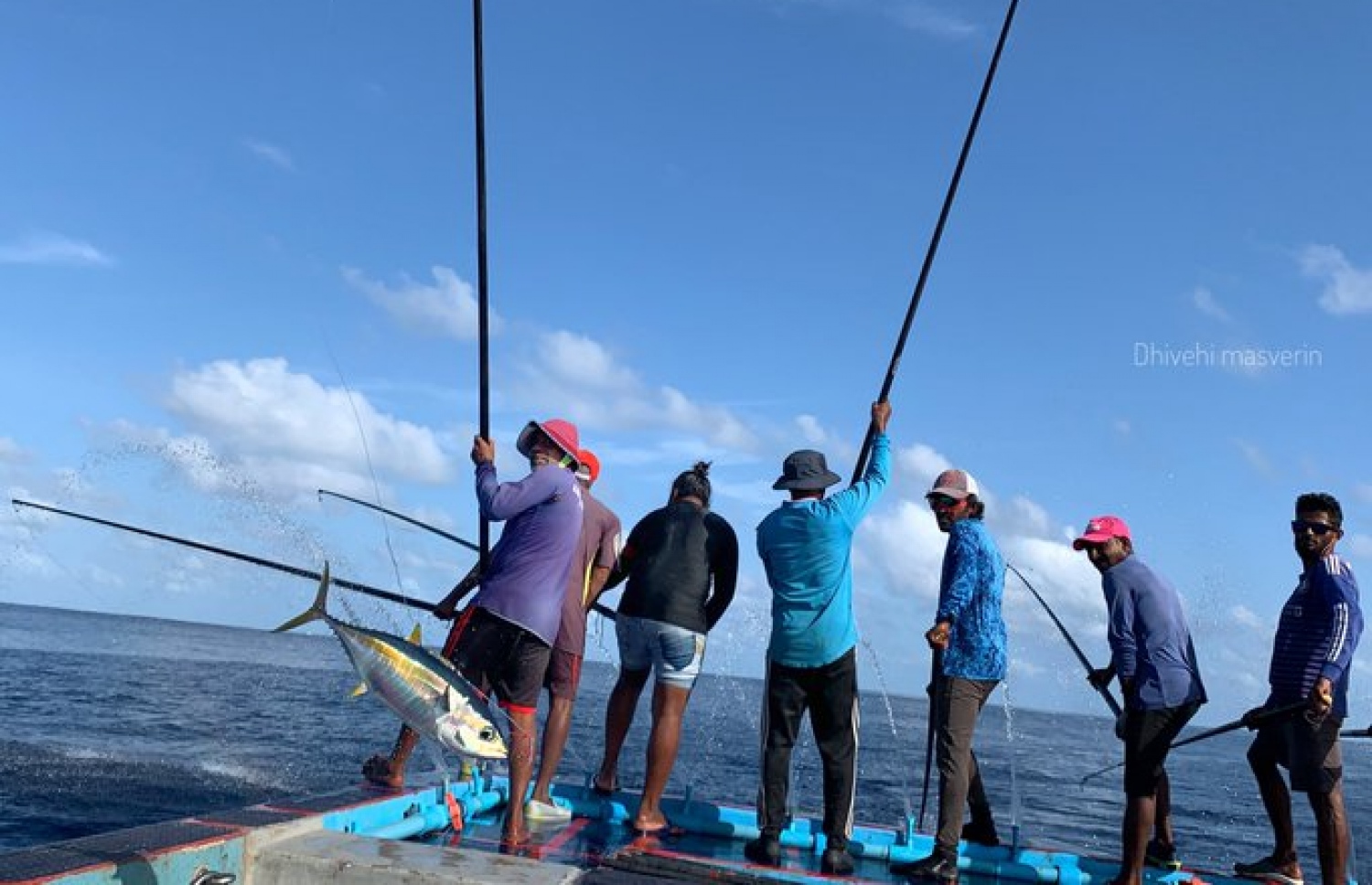 ދިވެހި މަސްވެރިން މަސައްކަތުގައި: ކުރިމަތިވާ މައްސަލަތައް ވެސް ގިނަ --- ފޮޓޯ: ދިވެހި މަސްވެރިން ޓުވިޓާ.