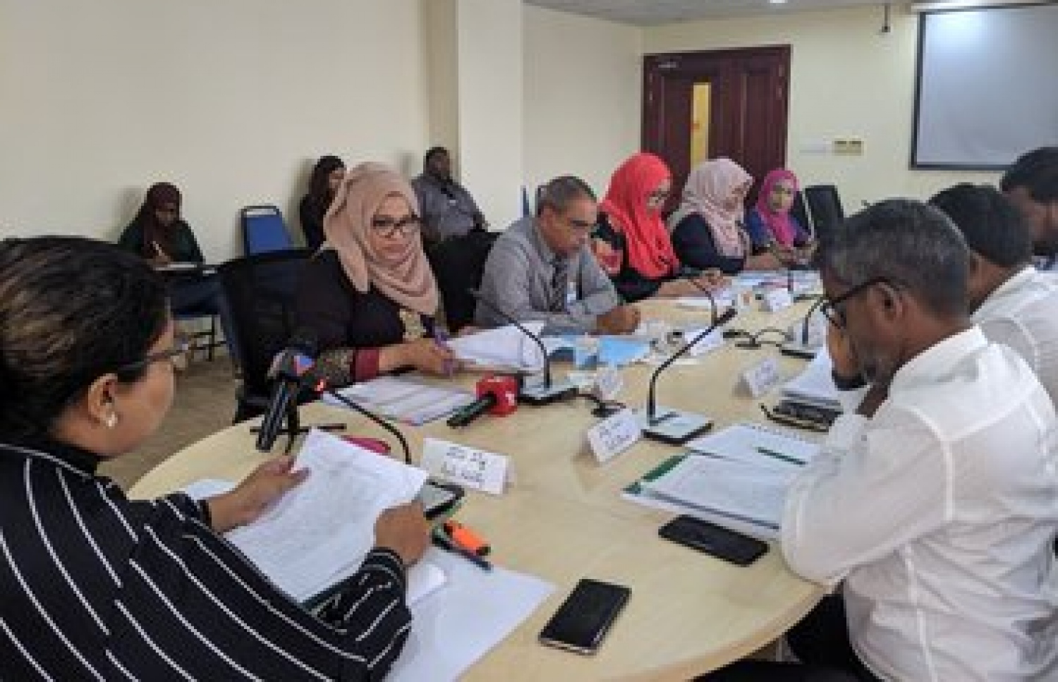 އެޗްއާރުސީއެމުގެ މެމްބަރުން ރައްޔިތުންގެ މަޖިލީހުގެ ކޮމިޓީގައި.