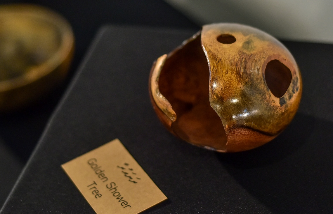 މާލެ: އޮގަސްޓް 26، 2019: އަޒްމީގެ ހުނަރު ދައްކާލުމަށް އާޓު ގެެލެރީގައި ފެށި އެގްޒިބިޝަނުގައި ލަކުޑިން ހަދާފައިވާ އެއްޗެއް.-- ފޮޓޯތައް: ނިޝާން އަލީ /މިހާރު