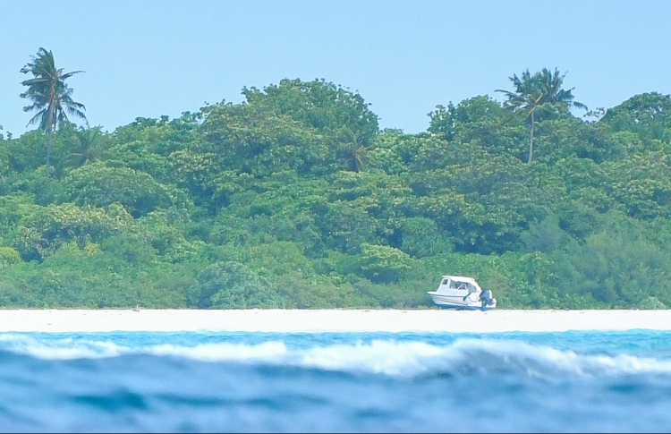 އެމްއެންޑީއެފްގެ ޑިންގީއަށް އަސްލު ވީ ކިހިނެއް؟