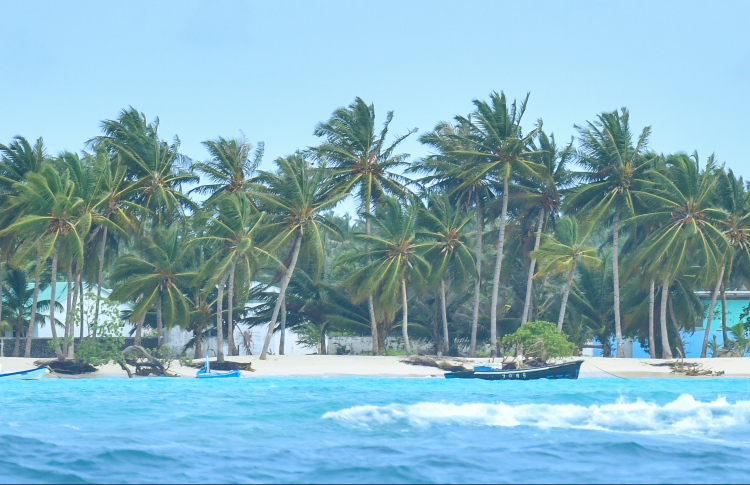 ޓޫރިސްޓަކަށް ޖިންސީ ގޯނާކުރި ދިވެއްސަކު ހައްޔަރުކޮށްފި