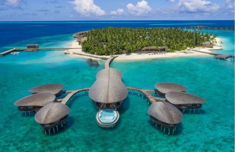 ސްނޯކްލިން އަށް ދިޔަ ޓޫރިސްޓަކު މަރުވެއްޖެ