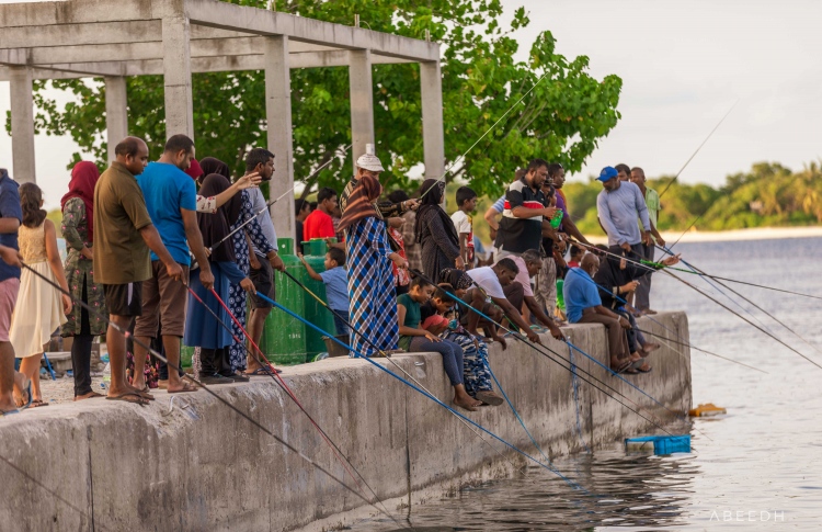 މަސްވެރިކަމުގެ ބިލް މަޖިލިހުން ފާސްކޮށްފި