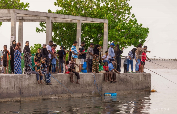އޭދަފުށިން ކޮވިޑް ޖެހުނު މީހުންގެ އަދަދު 99 އަކަށް