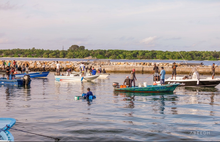 ހިޔާގެ ބައެއް ކުދިންނާ މެދު ހިތްހަމަނުުޖެހުންތަކެއް
