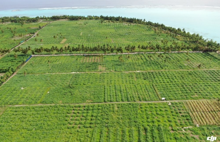 ދަނޑުވެރިކަމަށް ދޭ ރަށްތަކުގެ ޕްރީބިޑް މީޓިން ބާއްވަނީ