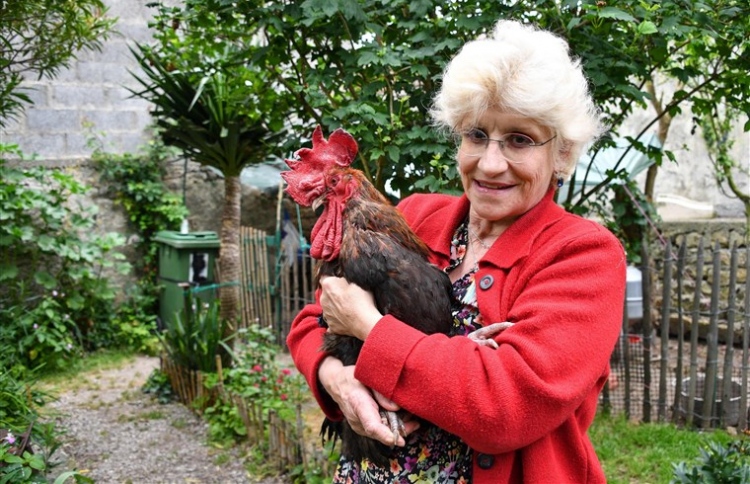 އުނދަގޫ ބޮޑުކަމުން ކޯޓަށް ގެންދިޔަ ހާ މަރުވެއްޖެ