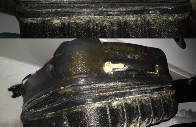 ހިތާމަވެރި ލޯންޗު ހާދިސާގެ ހަނދާނެއް، މޫދު އަޑިން