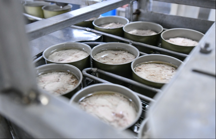 ކަނޑުއޮތްގިރީގައި އަލުން މަސް ބަންދު ކުރަން ފަށަނީ