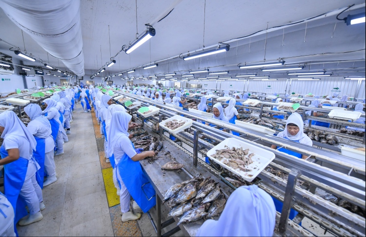 ނޫނެކެވެ، ހައްލަކީ މިފްކޯ އުވާލުމެއް ނޫނެވެ.