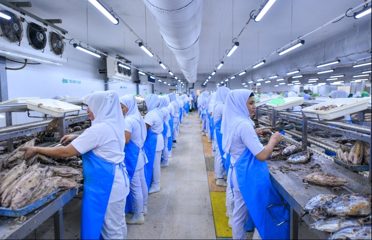 މިފްކޯގެ ވެރިންގެ މުސާރަ ކުޑަކޮށް،ހާއްސަ ފިޔަވަޅުތަކެއް