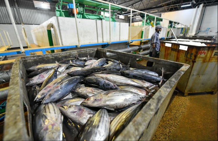 މިފްކޯއިން މަސްވެރިންނަށް 70 މިލިއަން ރުފިޔާ ދީފި