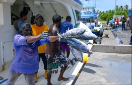 Local fishers weighing fish to a MIFCO cannery-- Photo: MIFCO