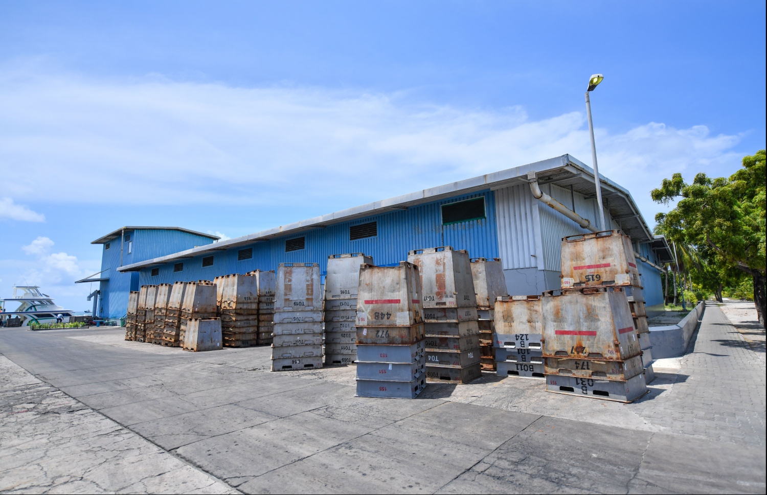 Fish processing capacity to reach 250 tonnes with 2 new factories - The  Edition