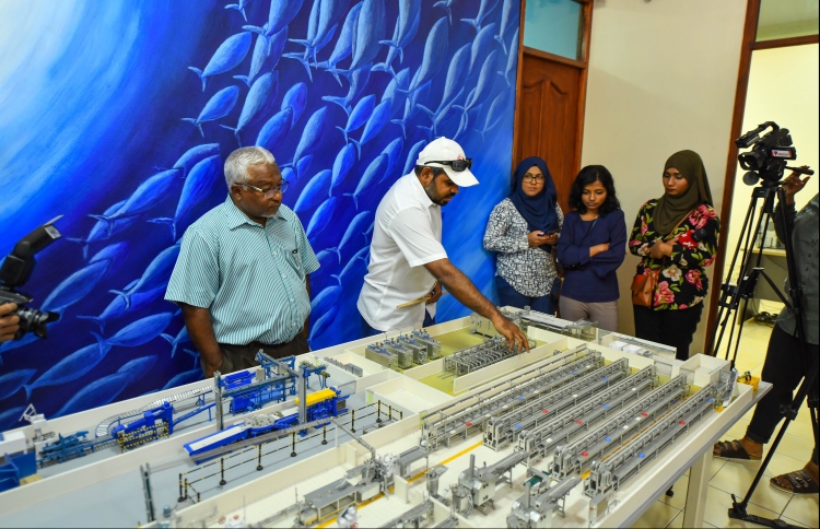 މިފްކޯ މިއަހަރު އަމިއްލަ ފައިމައްޗަށް ތެދުވާނެ: ރައީސް