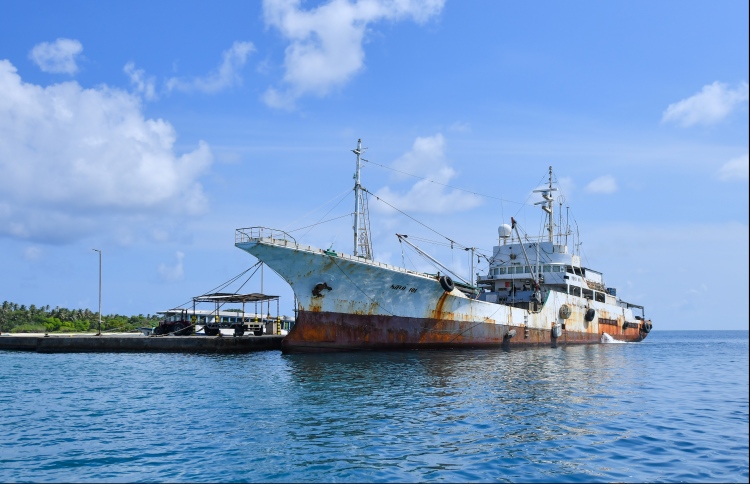 މަސް ގަންނަން 2.4 ބިލިއަން ރުފިޔާ މިފްކޯއިން ހޭދަކޮށްފި