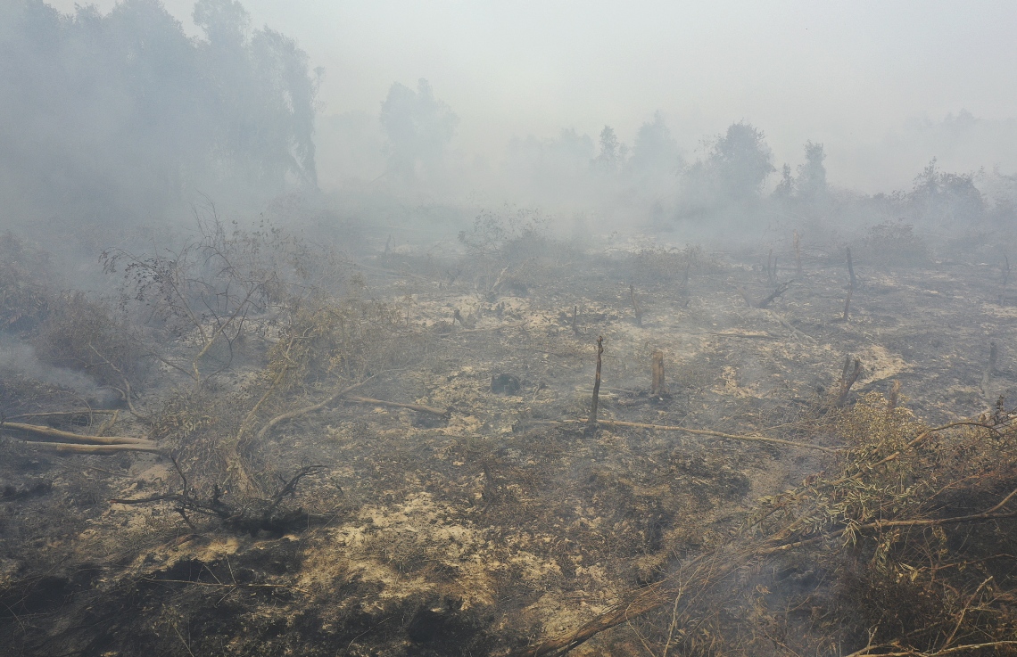 އިންޑޮނީޝިއާގެ ޖަންގަލިތަކުގައި ރޯވެފައިވާ އަލިފާނުގެ ސަބަބުން އެ ގައުމުގެ ރިއާު ޕްރޮވިންސްގެ ޖަންގައްޔަކުން ދުން އަރަނީ. --ފޮޓޯ:އޭއެފްޕީ