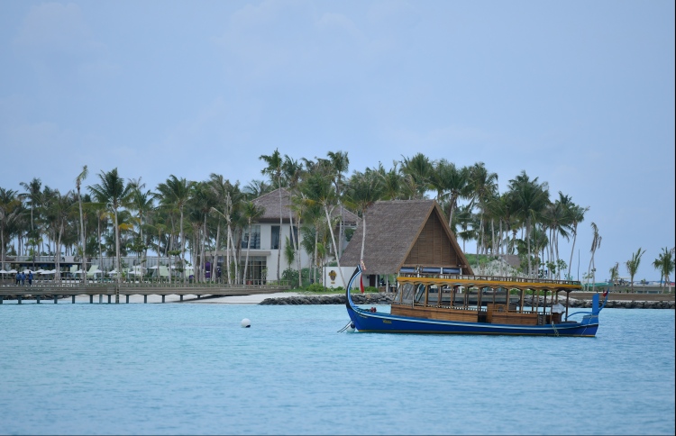 މޫސުމީ ނުރައްކަލަށް ޓޫރިޒަމް އެޑަޕްޓްކުރާނެ ގޮތް ހޯދަނީ