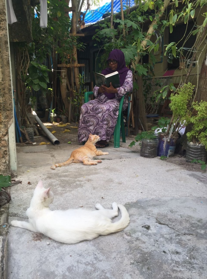 ފޮޓޯ: ތުންދޯ