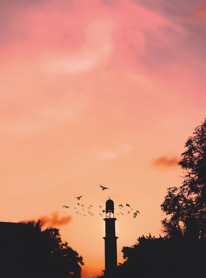 ފޮޓޯ: ސީ ދި ކެޕްޗާސް