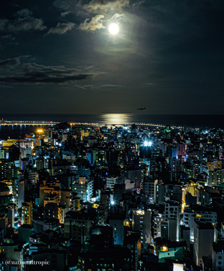 ފޮޓޯ: ނޭޝަނަލް ޓްރޮޕިކް