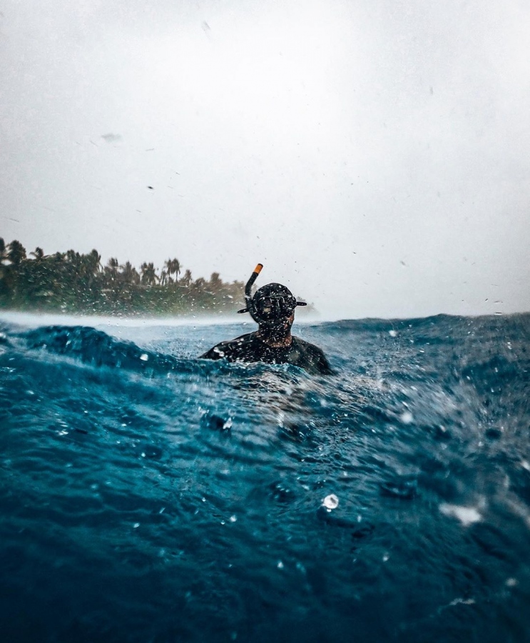 ފޮޓޯ: އެކުއަޓިކް ބީސްޓް